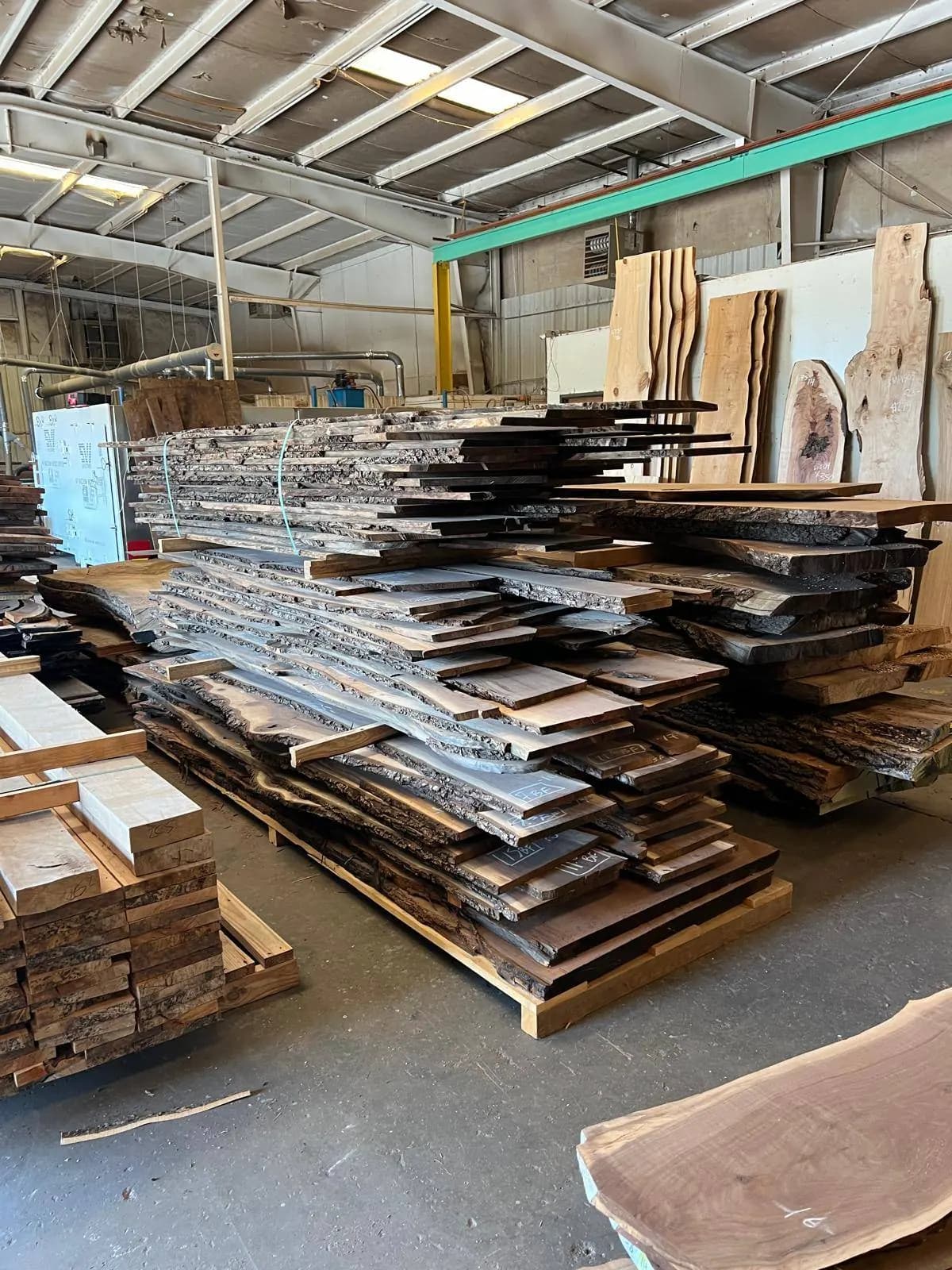Large inventory of live-edge Black Walnut slabs stacked at Urban Wood Company